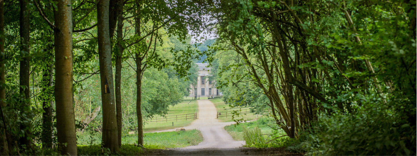 Where To Find Us Header