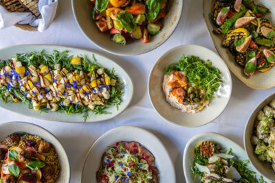 Large Premium Picnic