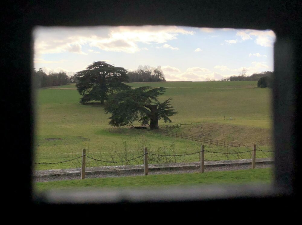 IMG 0297}