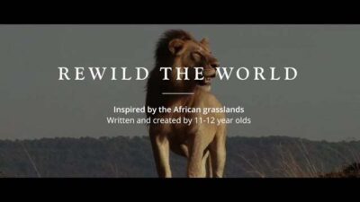 Rewild The World